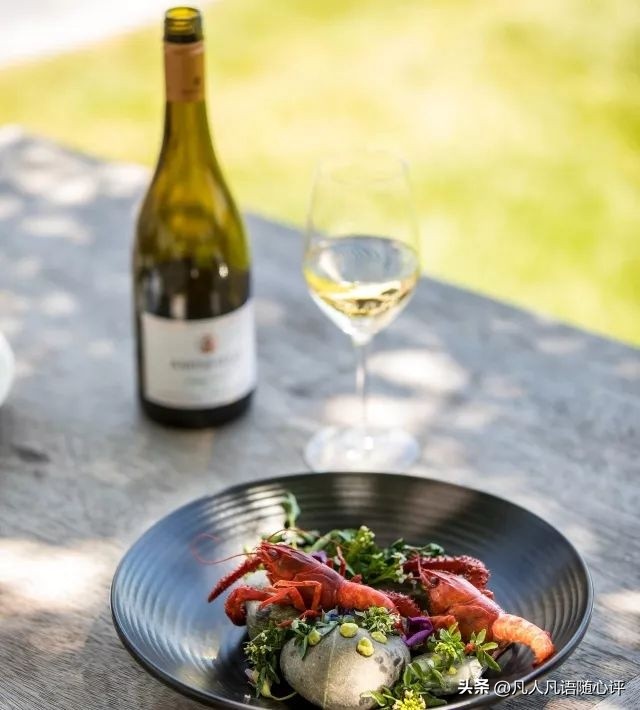 周游记2新西兰之旅,新西兰之旅15集