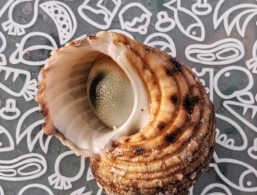 海南海鲜贝类有哪些,海南海鲜贝类