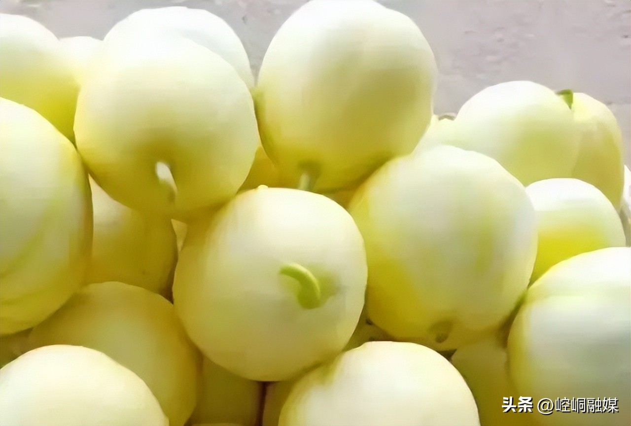 平凉泾川足球赛,泾川对崆峒足球赛