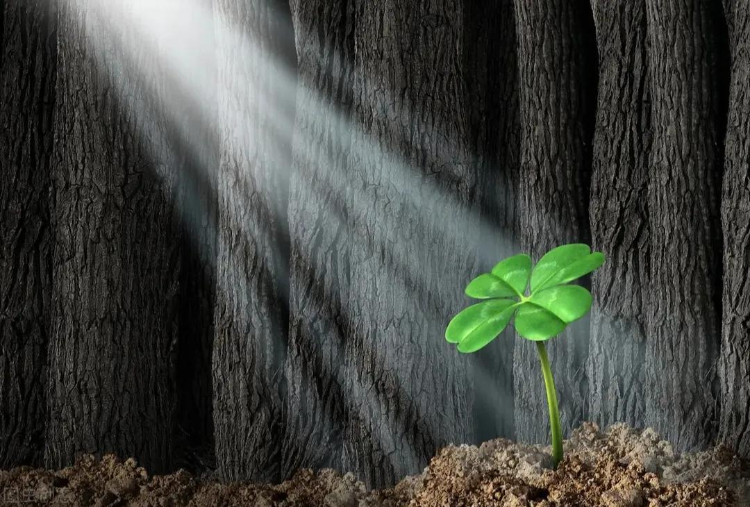 因疫情停工还不上房贷,因为疫情坠楼后续