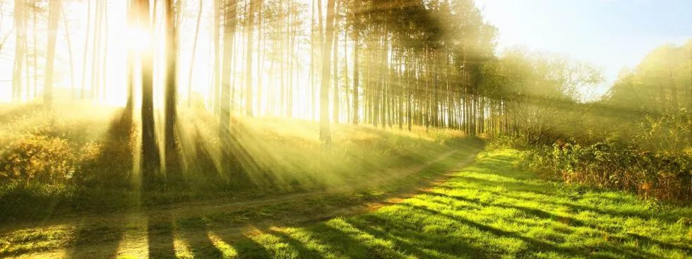 德国留学生一年花费多少钱,德国留学一年大约需要多少钱