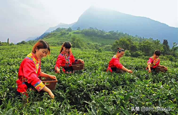 武都土特产有哪些,平武大山深处