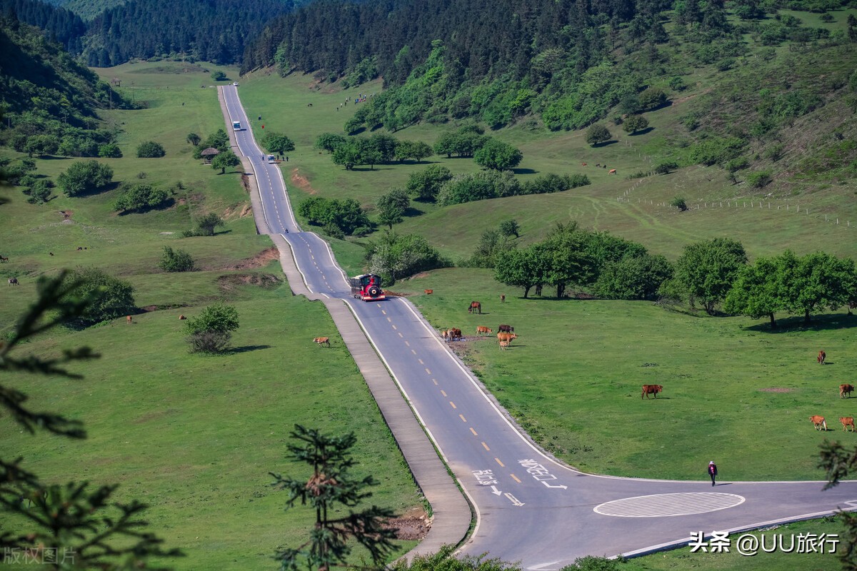 重庆江津区旅游必去十大景点推荐,重庆周边旅游景点100公里以内的