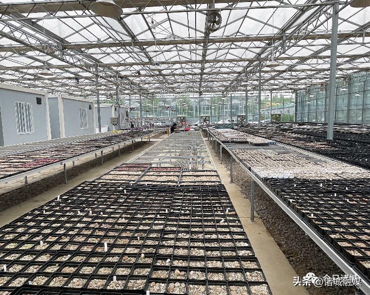 诸城城区哪个街道发展得好,诸城哪个街道发展有潜力