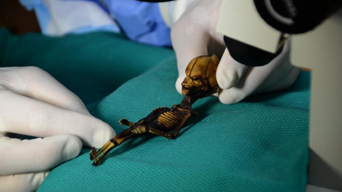 疑似外星生物遗骸,不明外星人遗骸曝光