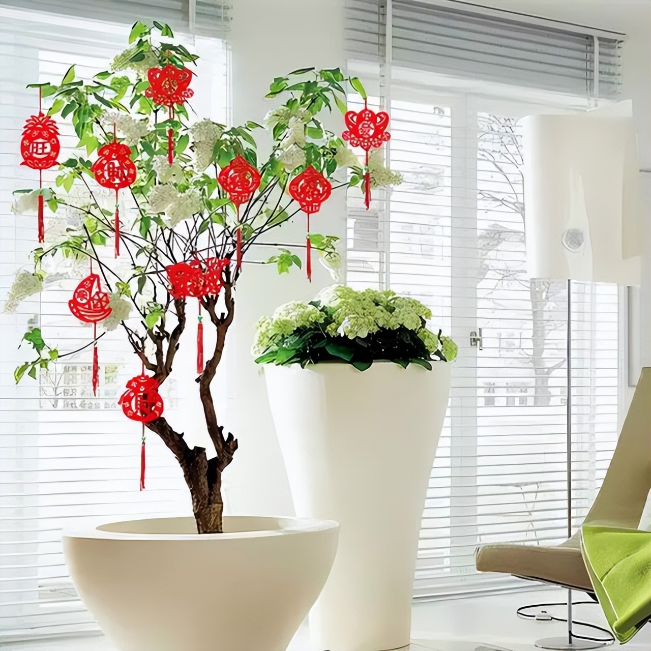 五种花不宜送人,哪些花养在家里不吉利