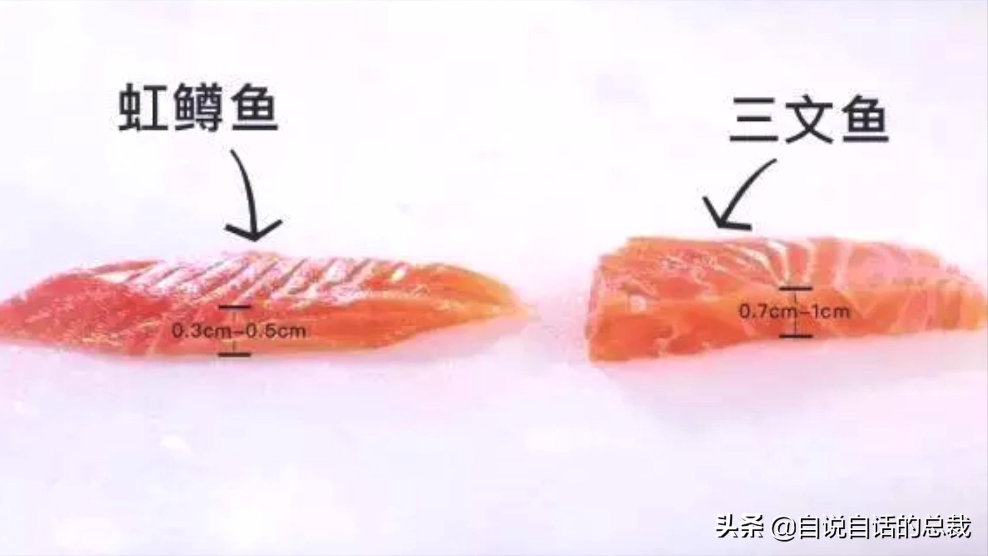 国内的假三文鱼是什么鱼,哪种才是真正的三文鱼