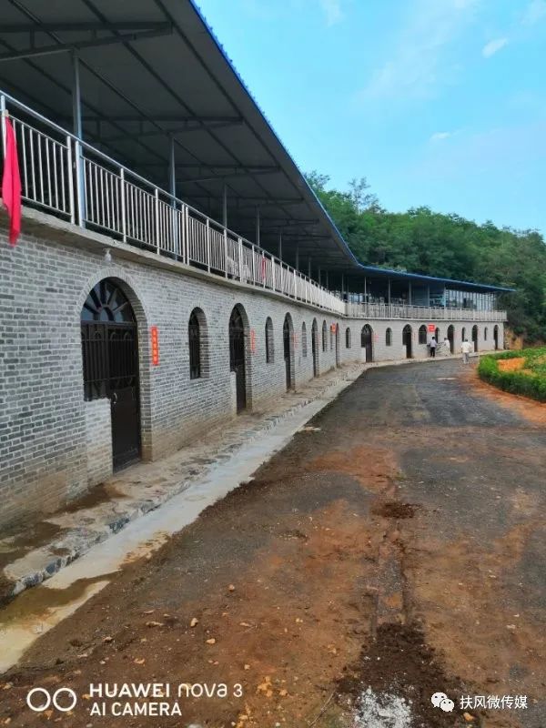 咬定青山不放松全诗作者,咬定青山不放松大师朗读