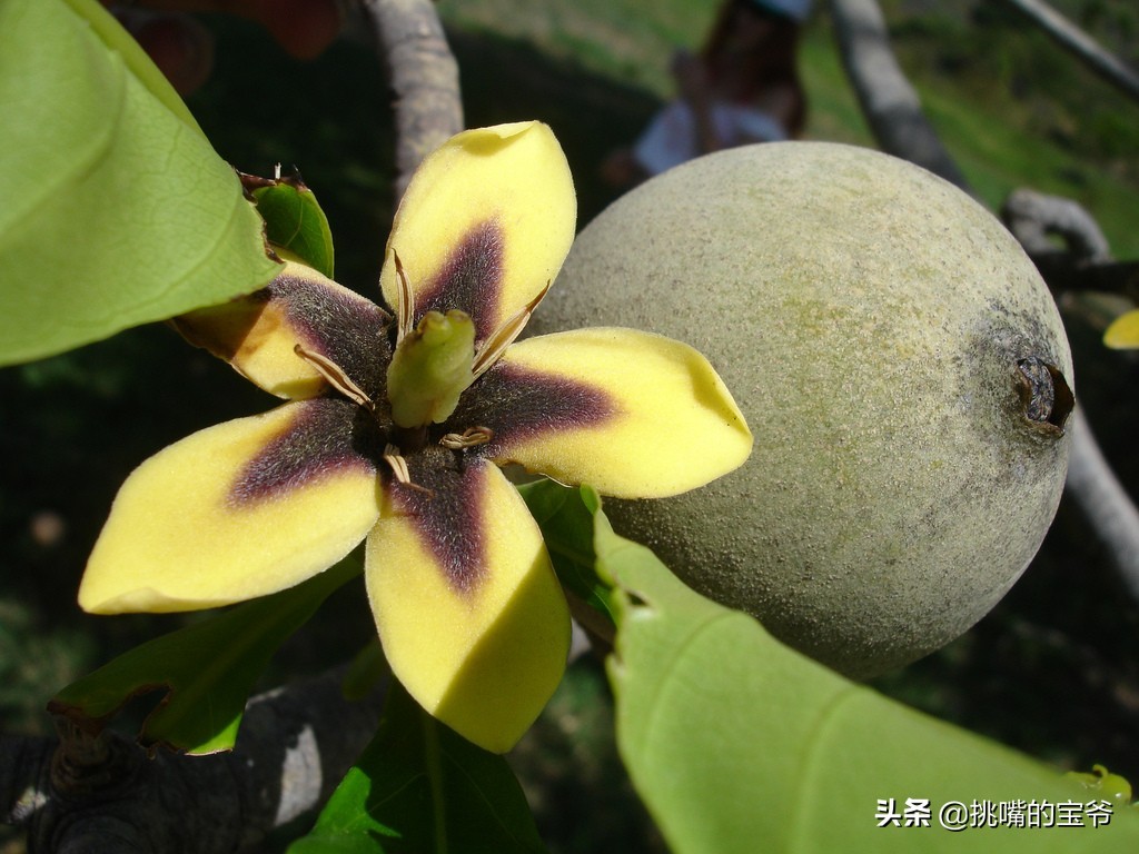 国土面积小于三万的国家,国土面积不足的省