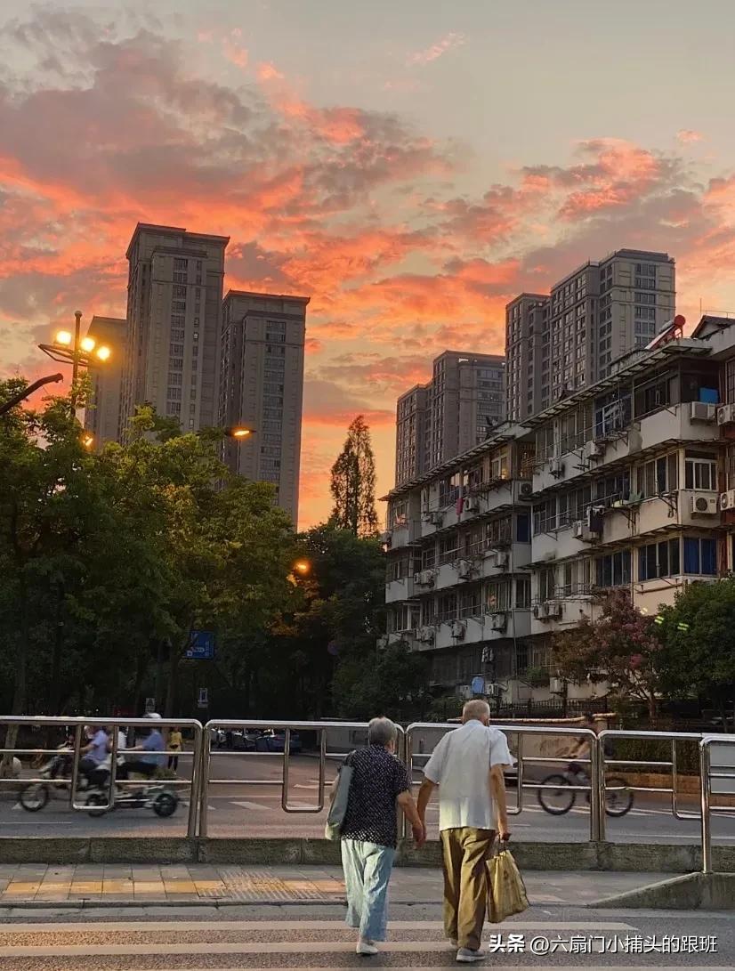 懂懂日记全集,懂懂日记和艾浪笔记