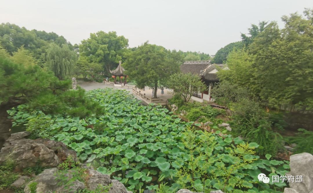 世说新语名言感悟,世说新语经典语录免费阅读