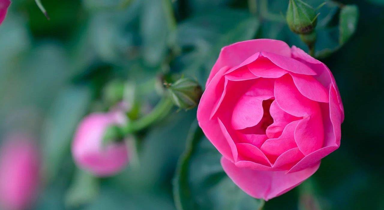 女人长期和男人分居怎么回事,夫妻之间女人不主动亲近后果