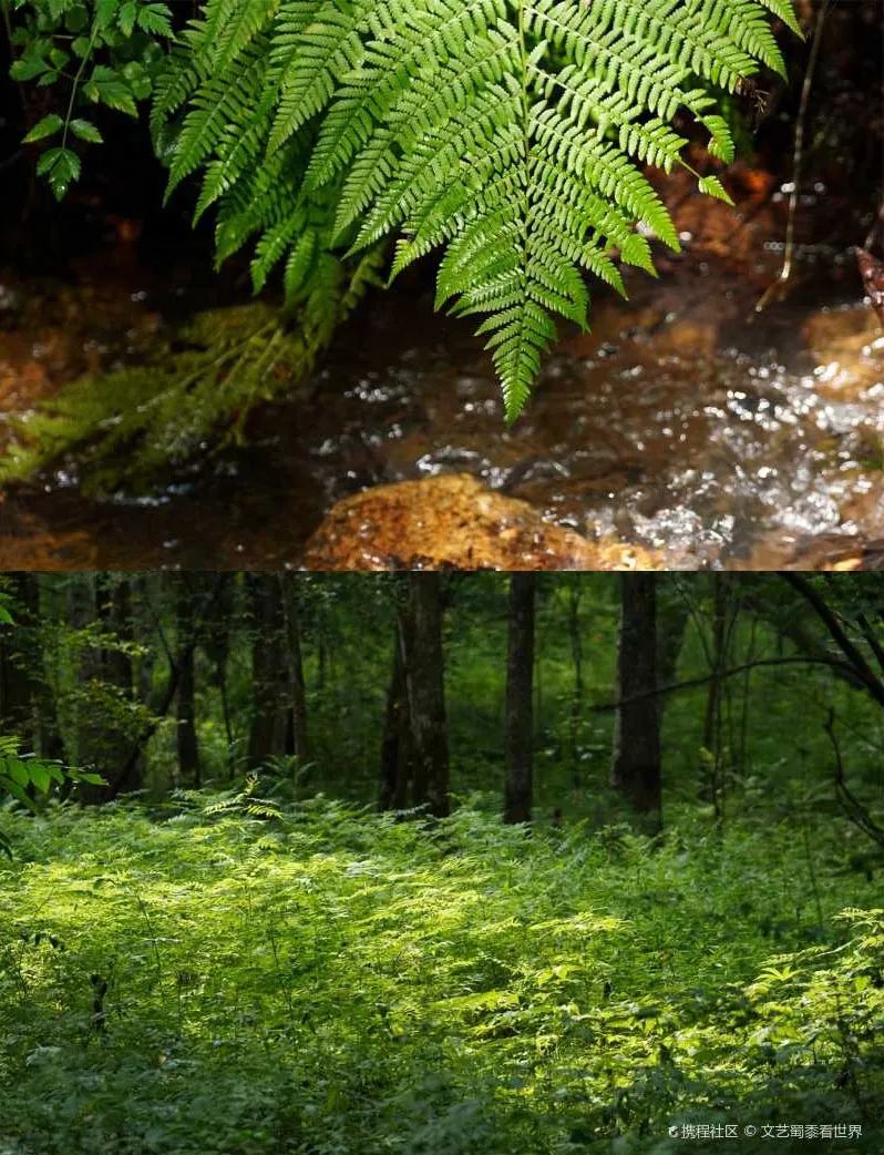 豪华专列游北疆,豪华软卧旅游专列