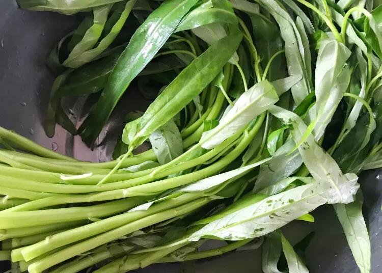 4种绿叶菜是补钙第一名,这5种绿叶菜比牛奶含钙量还高