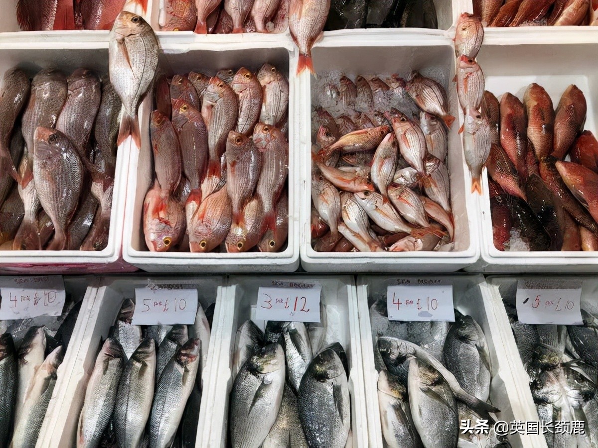 在伦敦哪里买新鲜的海鲜,伦敦海鲜市场买什么海鲜