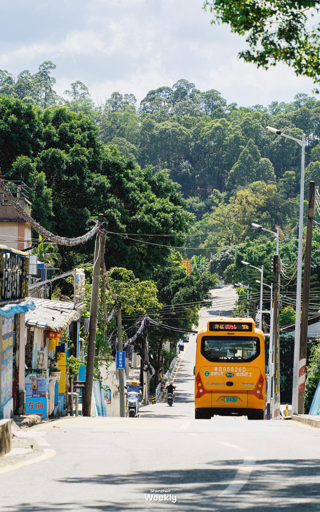 深圳玻璃海适合什么季节去,深圳适合藏玻璃海的地方