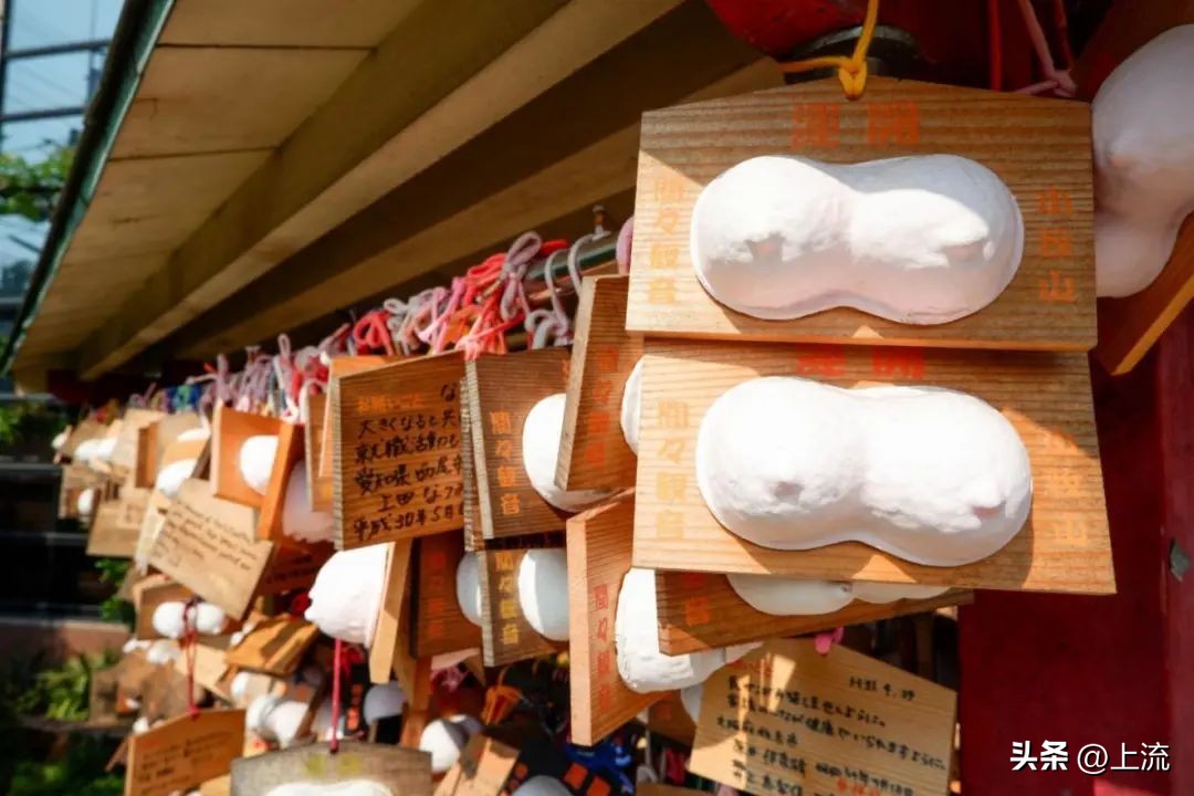 澳洲公袋鼠,袋鼠蛋蛋纪念品