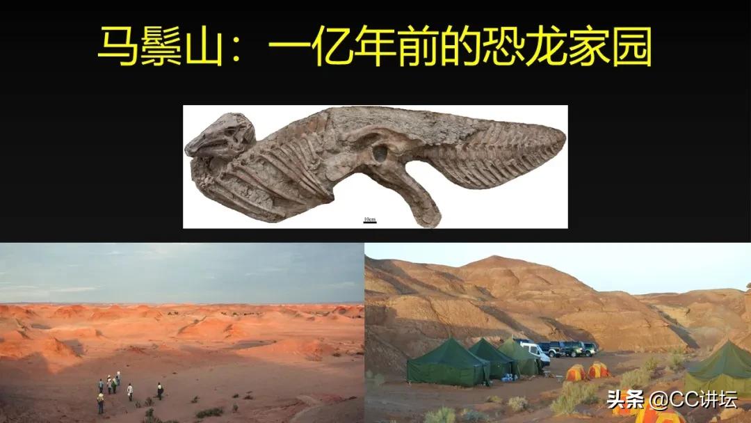 海洋恐龙和陆地恐龙,海洋恐龙与陆地生物对比