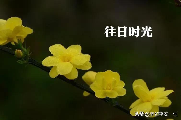 供销社出路,供销社的经历和感受