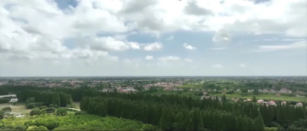 崇明智慧小镇,崇明小镇