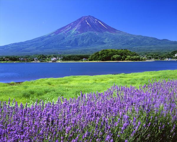 为什么衣服洗后有霉味,为什么衣服洗干净还有股霉味