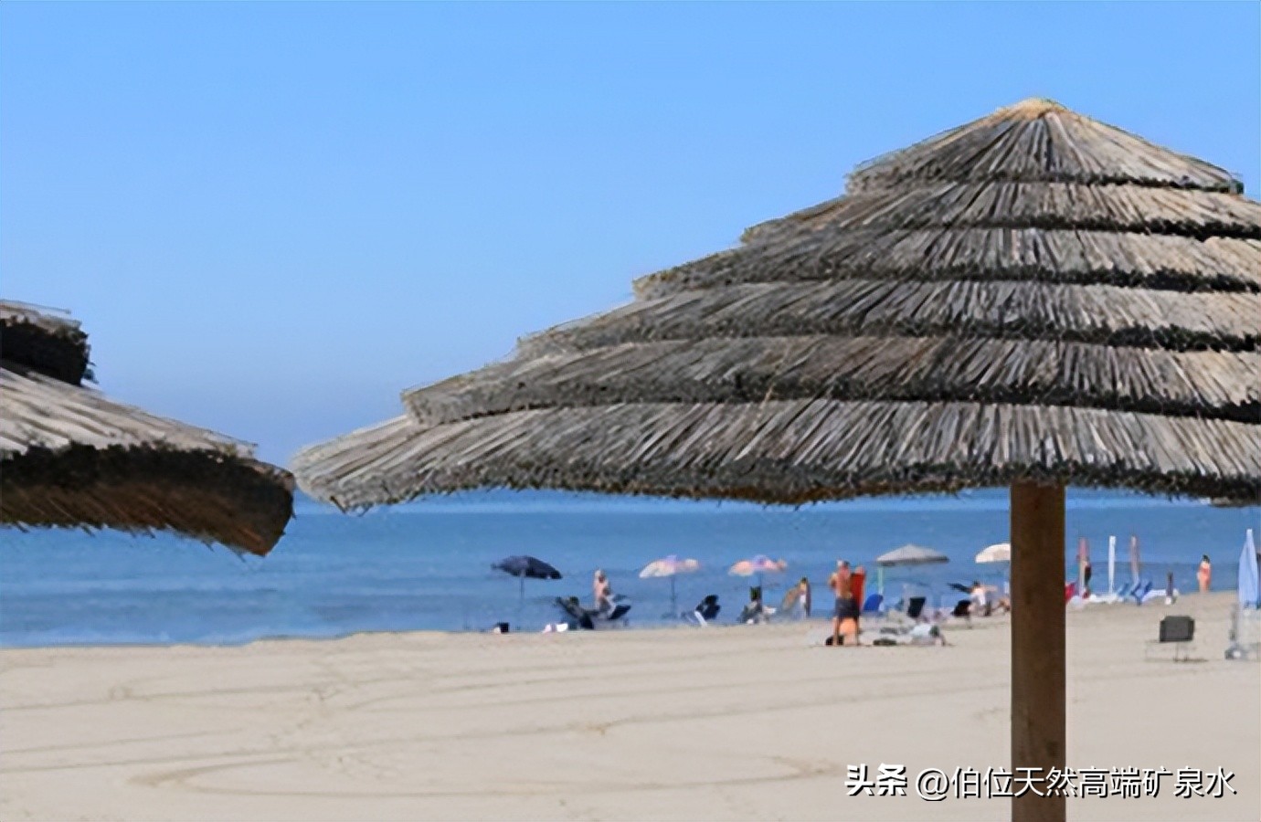 如何经营好水站,开一家水站需要什么