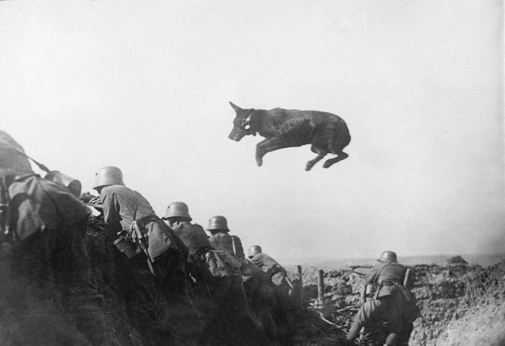 科普一战始末，知识点较多，收藏后慢慢品