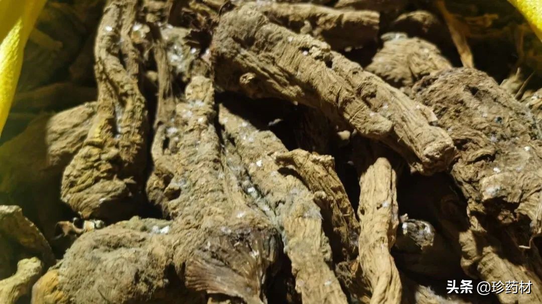 12月27日中药材市场快讯：连翘、柴胡、山楂、僵蚕、板蓝根、菊花