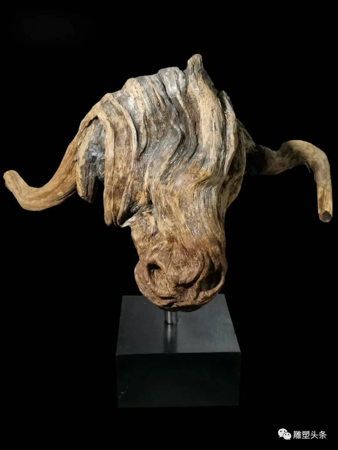 福建名家黄榕国,黄榕国书法