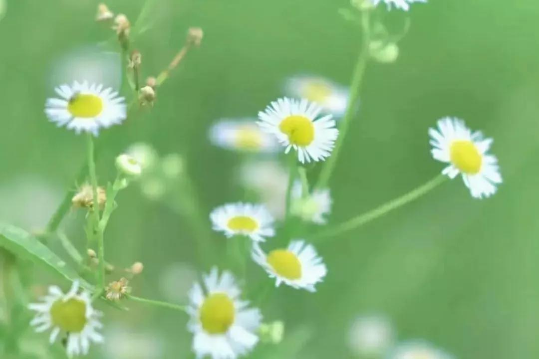 初次与客户见面第一印象特别重要,为什么第一印象十分重要