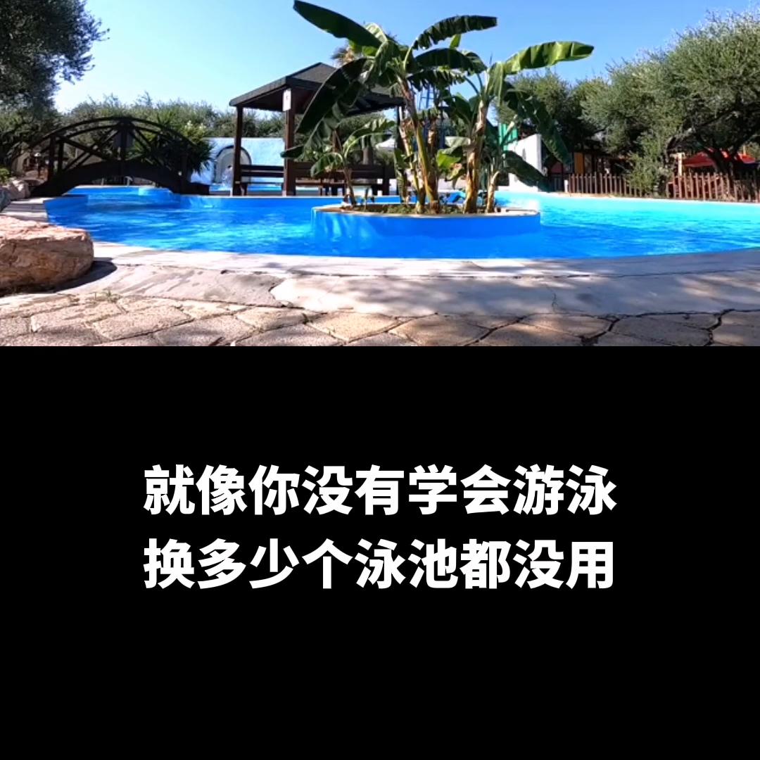 对药代的理解,对于药代的理解