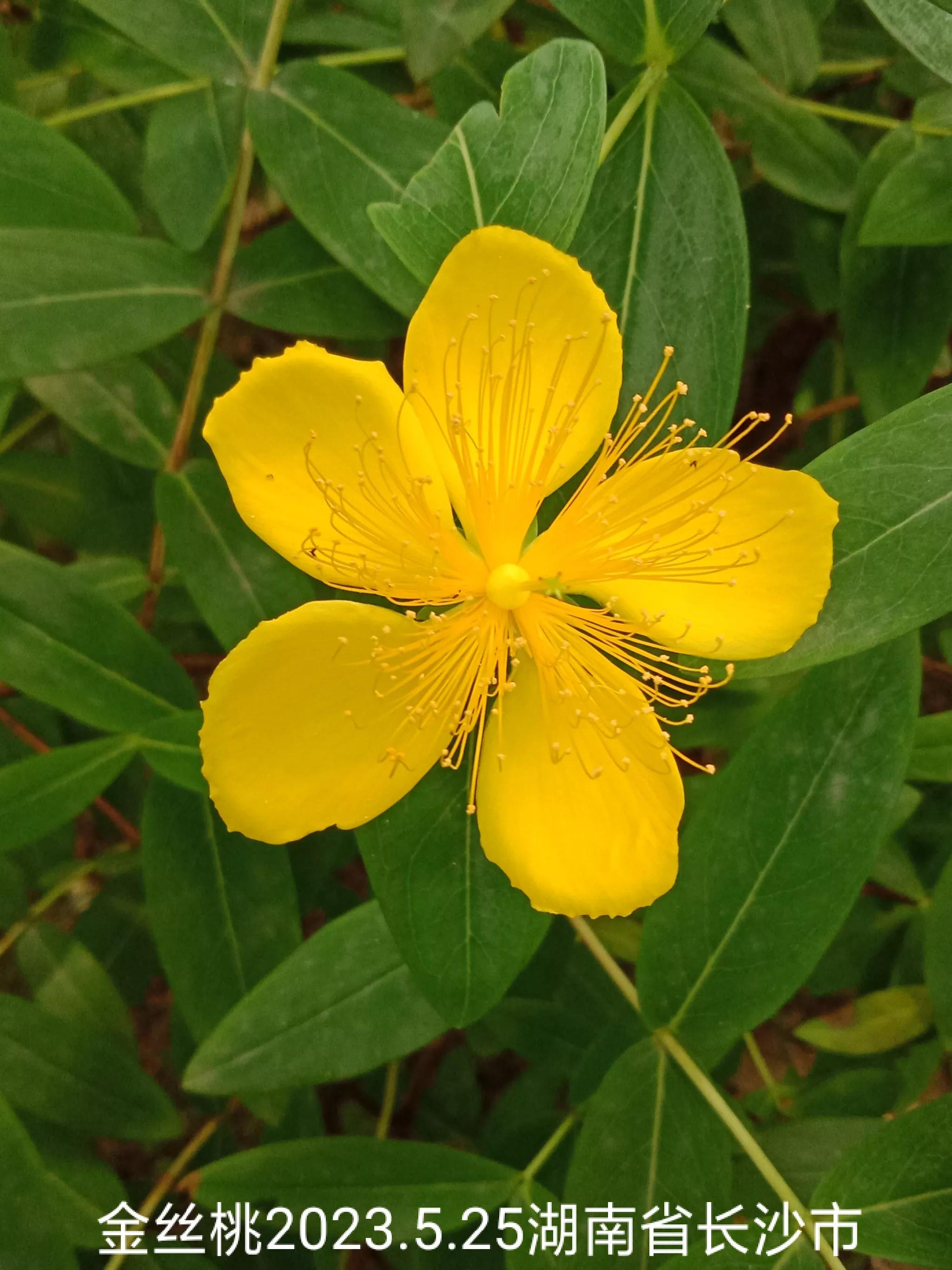 微信群没有保存下来怎么找回来,怎么找回没保存的微信群