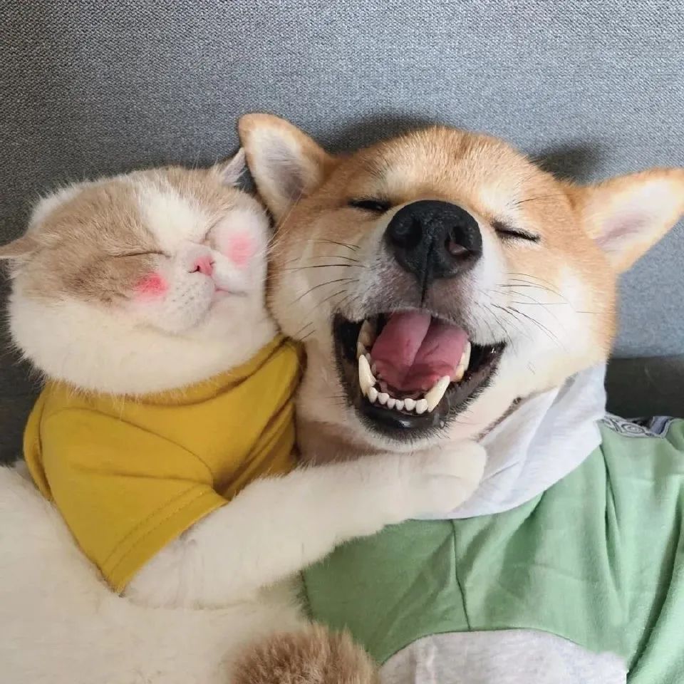 情侣头像来我身边给你温暖,情侣头像我细数时光只为与你相见