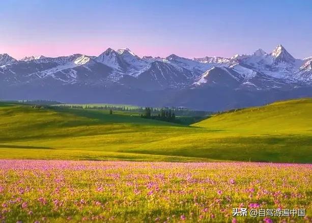 全国最美十大风景,疆内风景图片大全