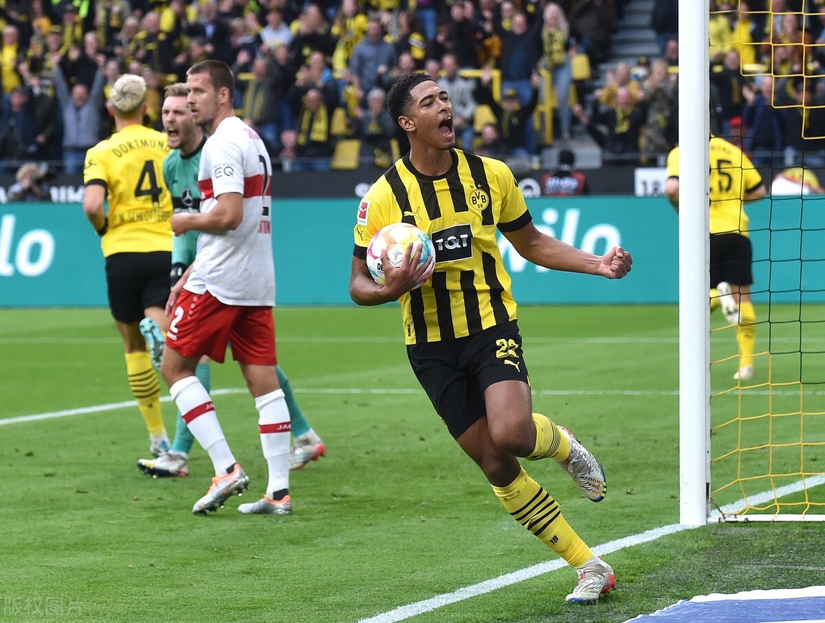 世界杯最值得期待的5位新星,维尼修斯捍卫荣耀、阿方索创造历史