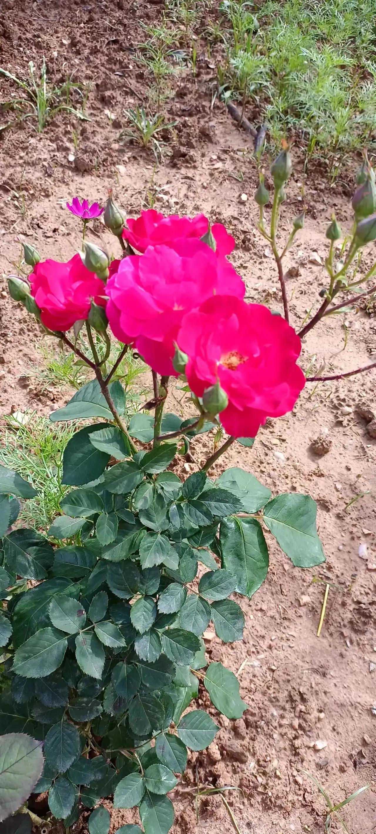 普通人的钱都是省出来的书单,钱到底是节约出来的还是挣出来的