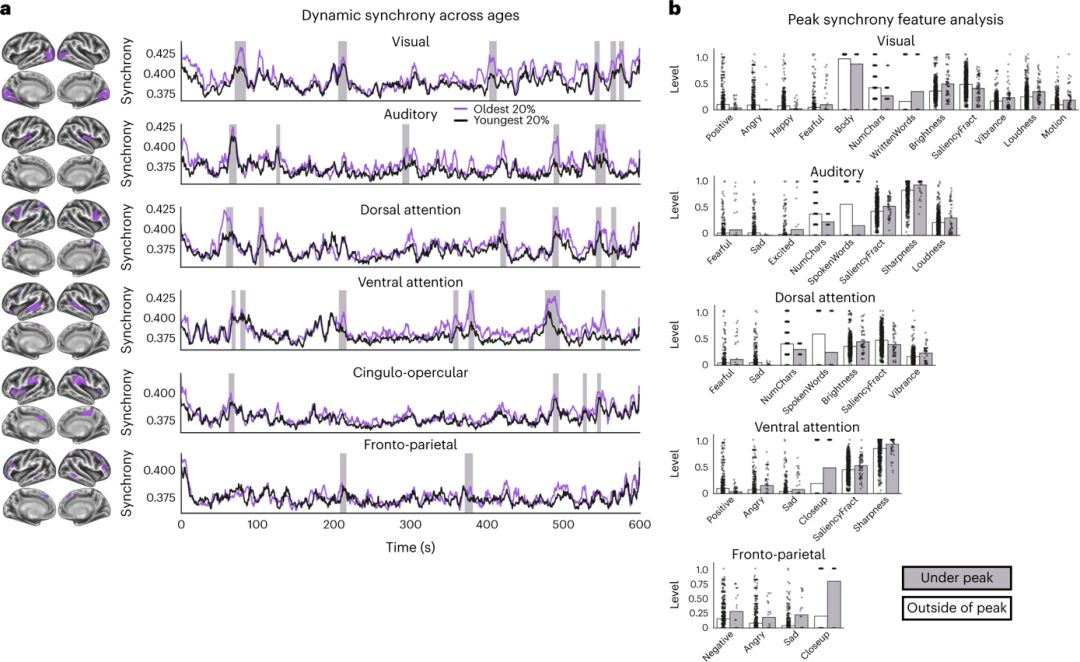 NatNeurosci：揭秘人类情感概念发展的神经影像表征的变化