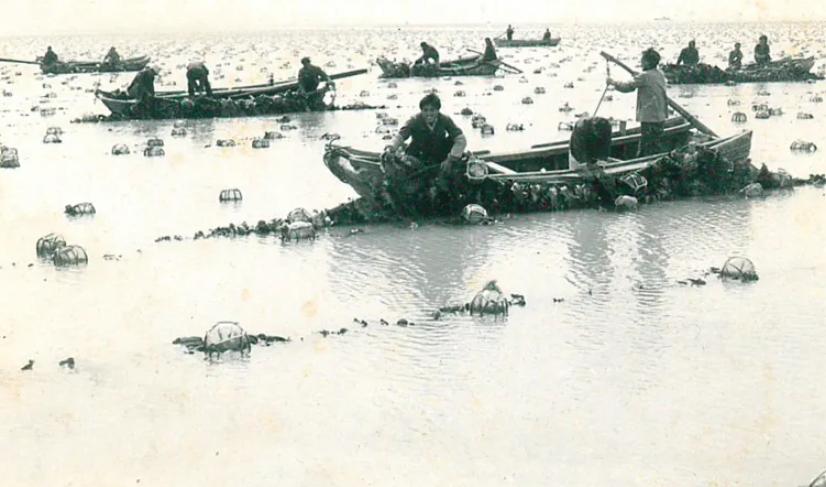 中国第一灭门大案,中国第一灭门惨案