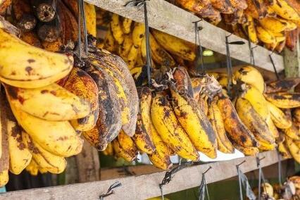 香蕉的买法和技巧,买香蕉时挑弯的还是直的好水果