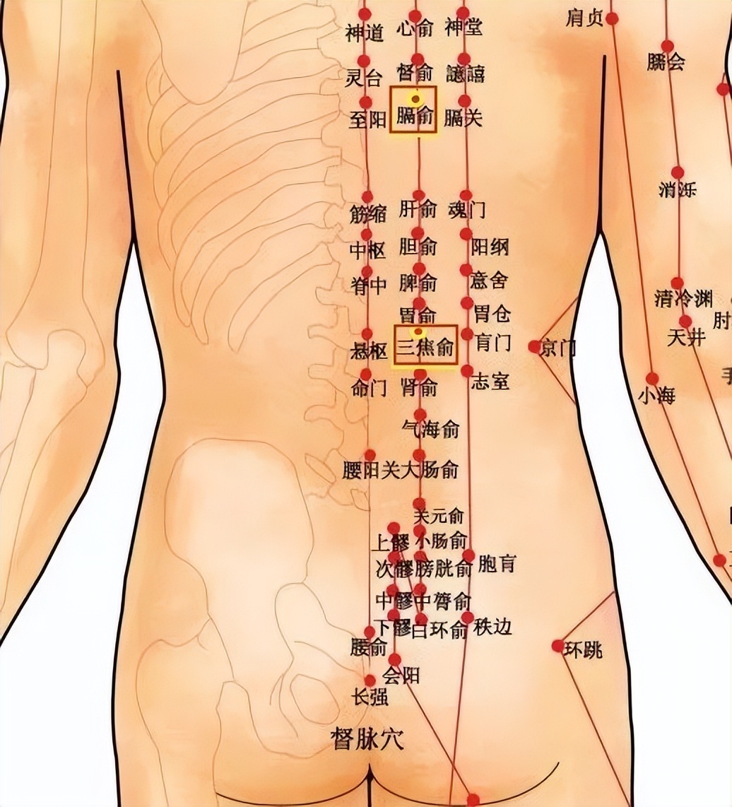 食管胃底静脉曲张最新治疗方法,聚桂醇治疗静脉曲张的注射方法
