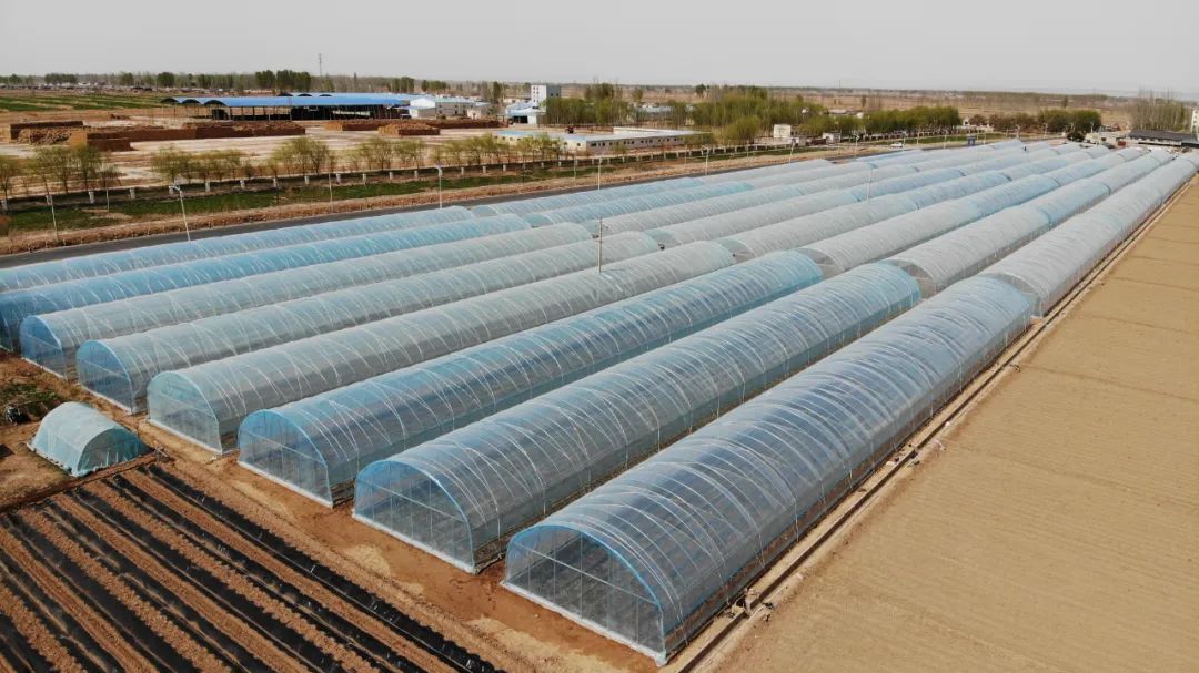 三抓三促重点工作推进台账,三抓三促行动方案全文