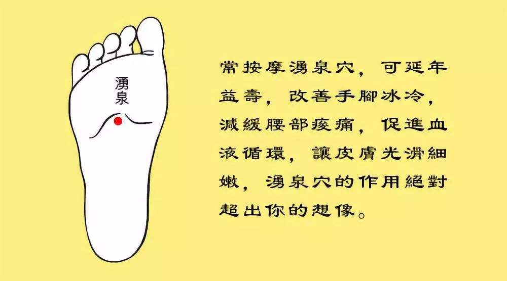 玫子科普：十二经脉，足少阴肾经——活力旺盛的乐观派