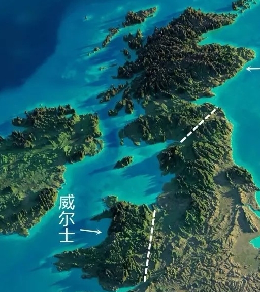 我们家边牧好蠢怎么办,为什么我的边牧感觉很蠢