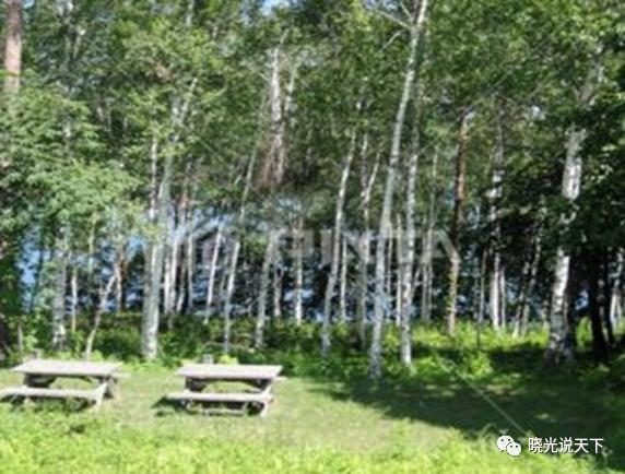 中日文化艺术交流,中日合唱北国之春