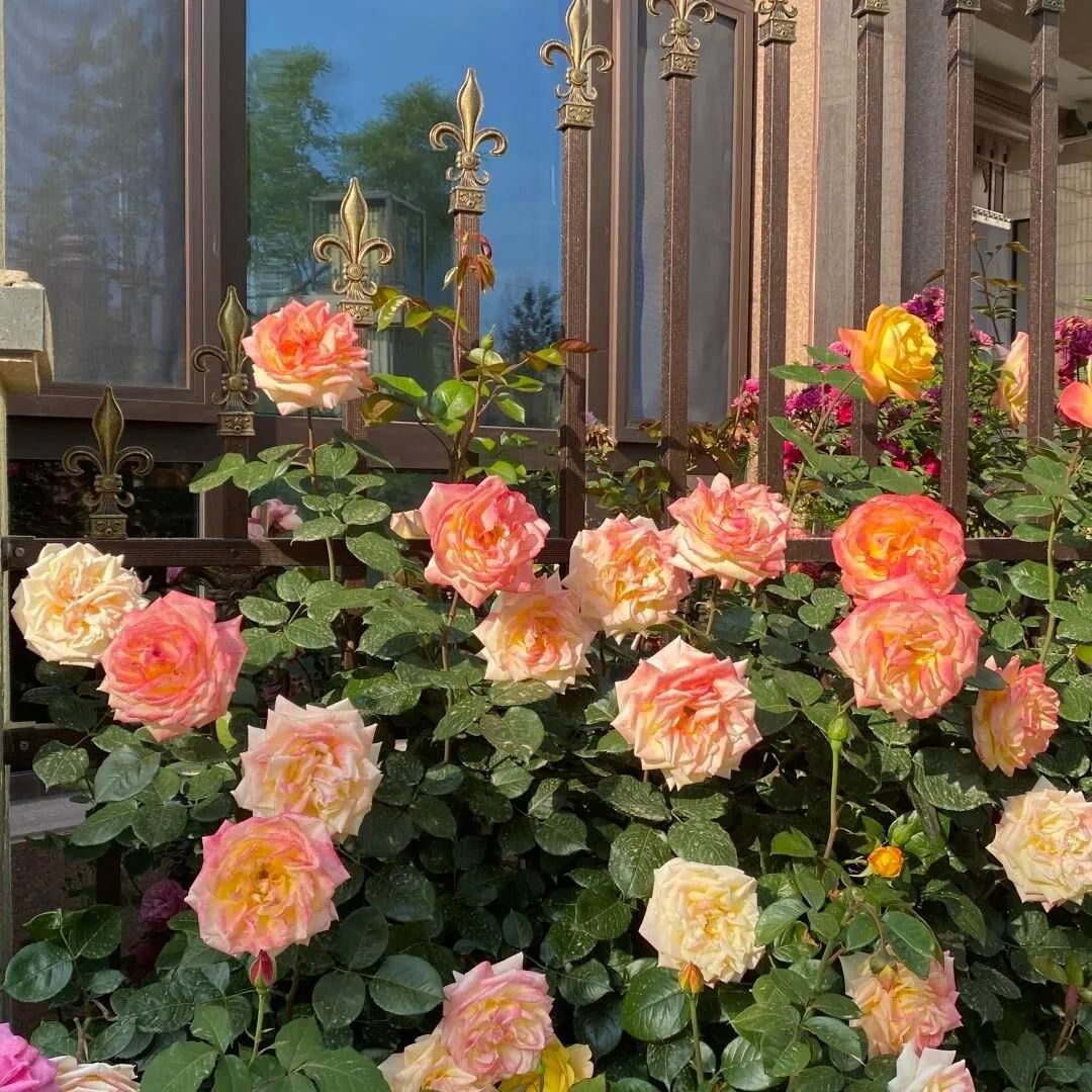 超有感觉的背景图伤感,小众超有感觉的背景图