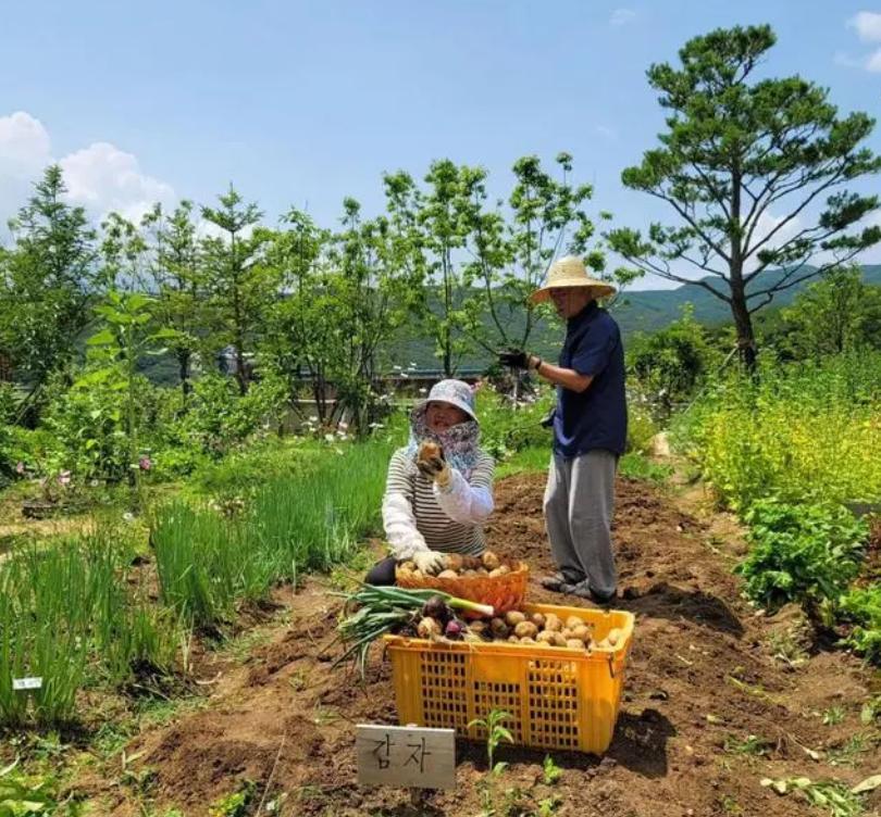 文在寅是个好总统,文在寅退休后化身老农民顶大太阳