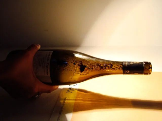 葡萄酒中有沉淀物是什么,葡萄酒里有沉淀物是什么