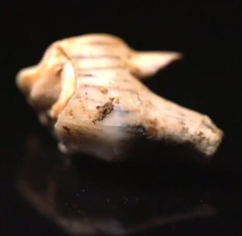 安徽省和县简介,史话中国