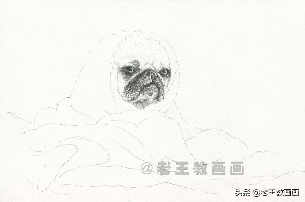 如何画不同的狗狗素描画图片,素描画小狗详细教程画得要逼真
