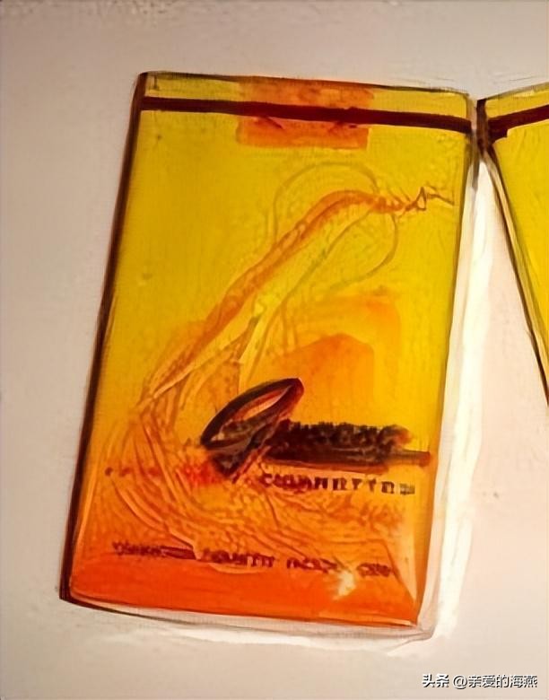 中国绝版老烟图片大全,老牌香烟见过一种就说明你老了